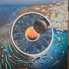 Pink Floyd – Puls   laserdisc japanese pressing – LP – 1995
