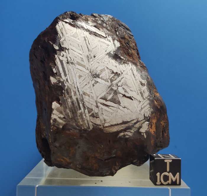 Météorite ALETAI - Iron IIIE-an - Hauteur : 88 mm - Largeur : 68 mm - 1168 g