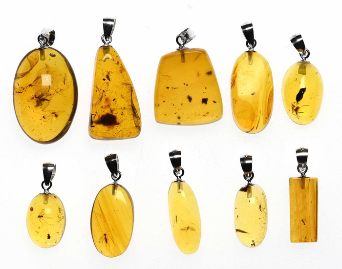 Pendentif en ambre birman en argent sterling - Cabochon fossilisé - All with Fossil Insect Inclusions - Lot of 10  (Sans Prix de Réserve)