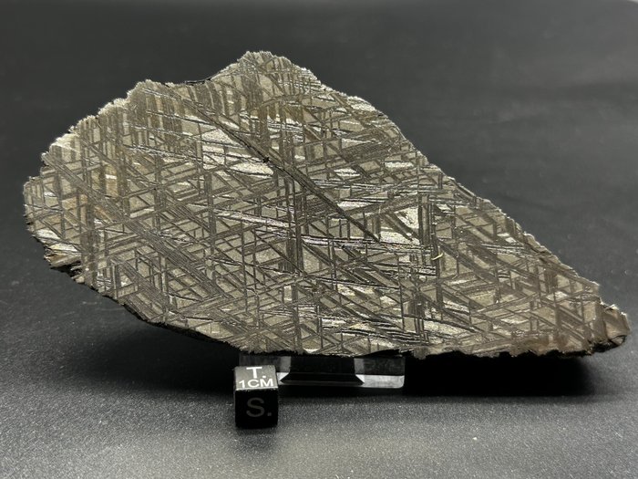 Meteoryt żelazny Muonionalusta - 1056 g