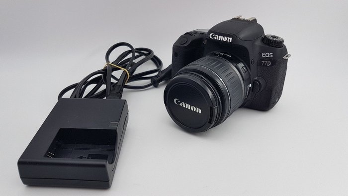 Canon EOS 77D + Canon EF-S 18-55mm  3.5/5.6 II 數位相機