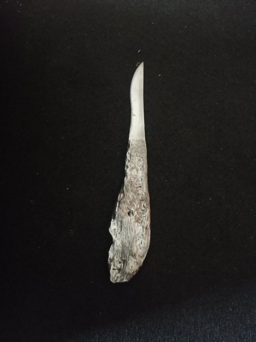 Aletai meteorite paper cutter Iron meteorite - Height: 160 mm - Width: 28 mm - 119 g - (1)