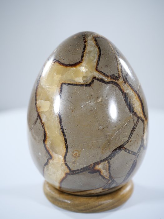 No Reserve Septarie Egg med stativ Eggform - Høyde: 101 mm - Bredde: 75 mm- 760 g - (1)