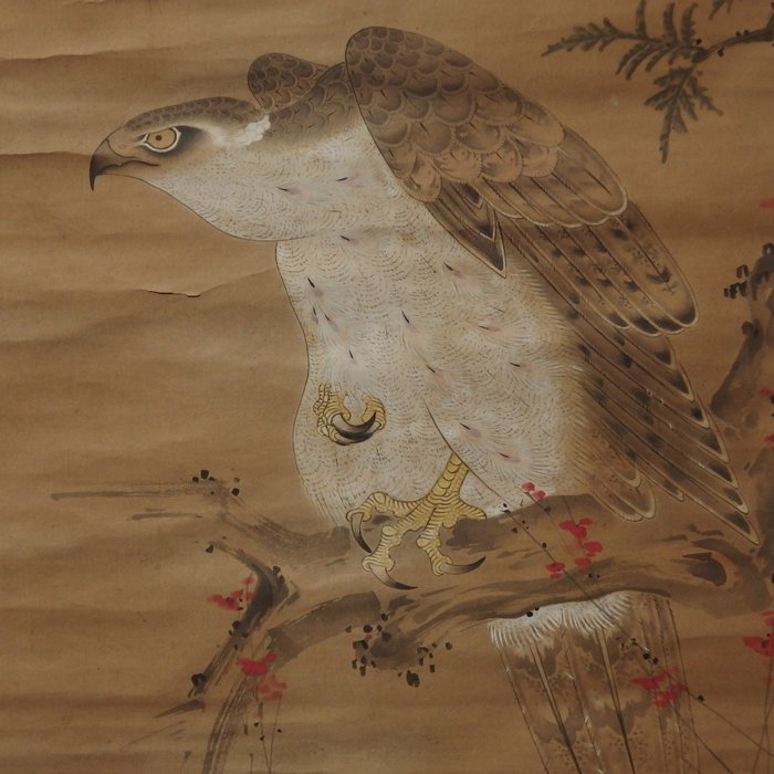 Hanging Scroll (Kakejiku) - Hawk on Pine Tree - Unknown Artist - Japón - Periodo Edo tardío  (Sin Precio de Reserva)