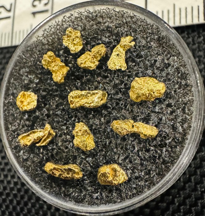 Gold Nuggets- 1.01 g - (12)