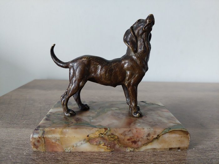 Rzeźba, Sculpture beagle bronze - 11.5 cm - Brązowy