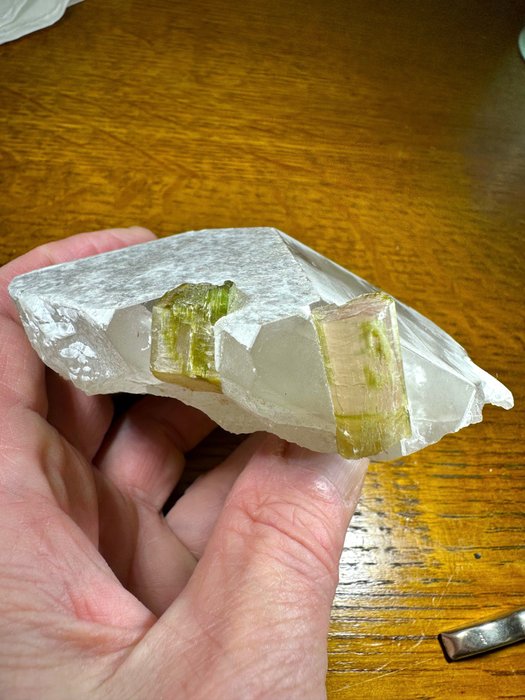 Cristale de turmalina pepene verde pe vârf de cristal de cuarț. . - Înălțime: 103 mm - Lățime: 76 mm- 300 g