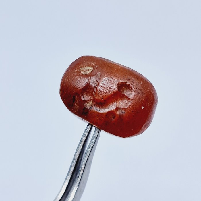 Mesopotamien Röd agat Horse Bead Seal - 15 mm