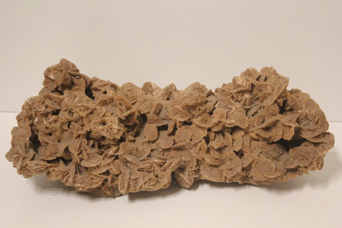 Duża róża piaskowa o długości 29 cm- 1920 g