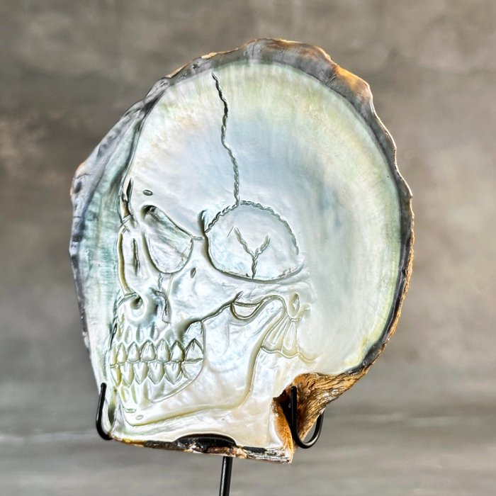 GEEN RESERVEPRIJS - Prachtige handgesneden parelmoer schelp - Menselijke schedel snijwerk - Zeeschelp - Pinctada Maxima