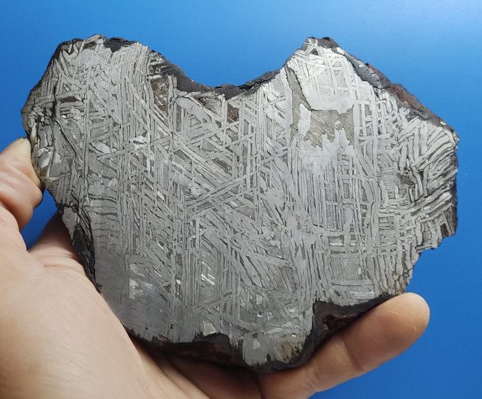 阿勒泰隕石 - 鐵 IIIE 年 - 高度: 141 mm - 闊度: 110 mm - 992 g