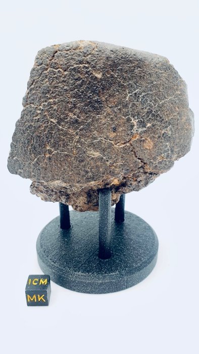 Meteorito NWA sem classificação Meteorito de condrite - Altura: 90 mm - Largura: 80 mm - 420 g - (1)