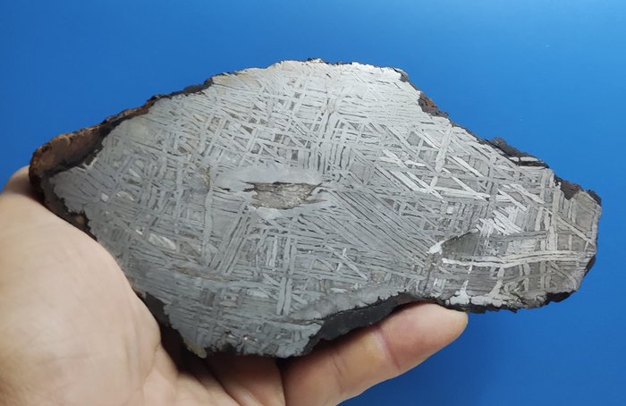 阿勒泰隕石 - 鐵 IIIE 年 - 高度: 177 mm - 闊度: 88 mm - 922 g