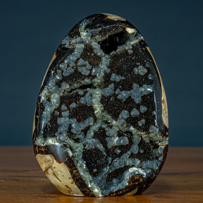 Settario naturale raro Druse, con cristalli di calcite gialla- 1308.47 g