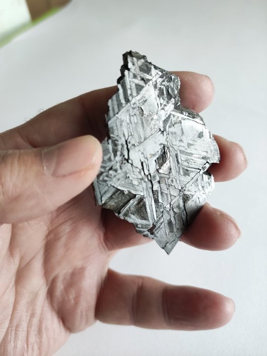 Meteorito Aletai Meteorito de hierro - Altura: 71.5 mm - Ancho: 47.5 mm - 52.5 g - (1)