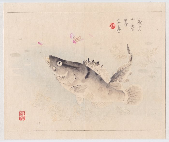 'Bass Fish hunts for Blossom' - From "Bijyutsu Sekai" - Taki Katei 滝和亭 (1830-1901) - Japão -  Período Meiji (1868 - 1912)