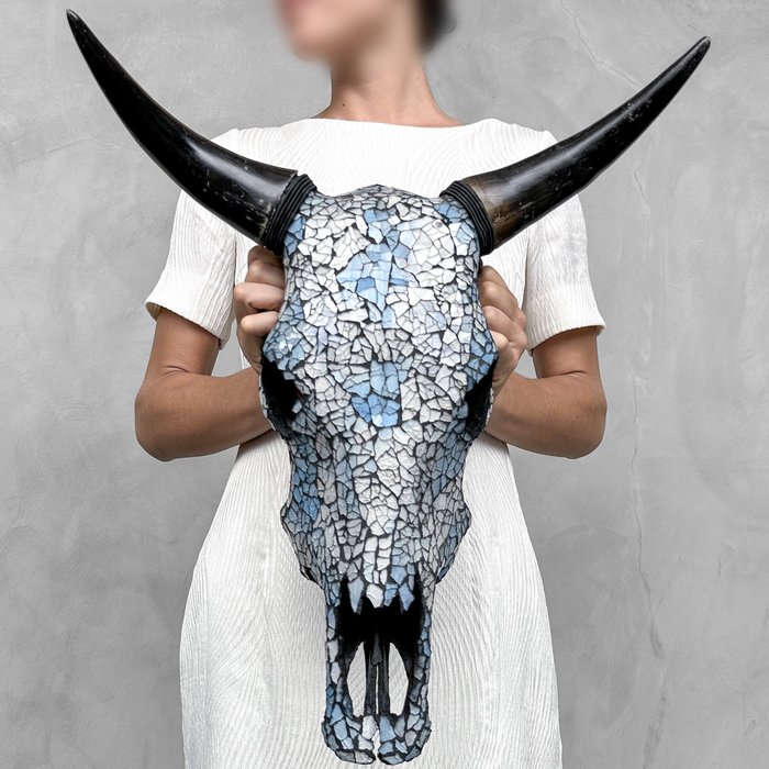 AUCUN PRIX DE RÉSERVE - Superbe crâne de vache avec incrustation de verre Mozaic- Crâne - Bos Taurus - 49 cm - 43 cm - 25 cm- Espèces non-CITES -  (1)