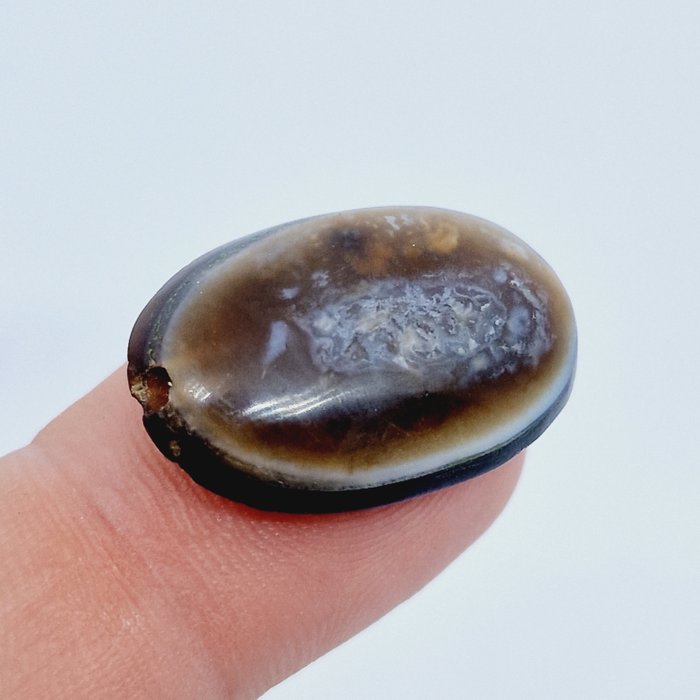 Gammel persisk Naturlig båndagat Buddha's Eye Ritual Bead Talisman - 15.8 mm