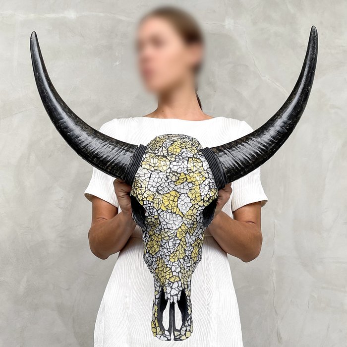 EI VARAUSHINTA - Aito Buffalo Skull lasimosaiikki-upotuksella- Kallo - Bubalus Bubalis - 58 cm - 55 cm - 18 cm- Ei-CITES-kohde -  (1)