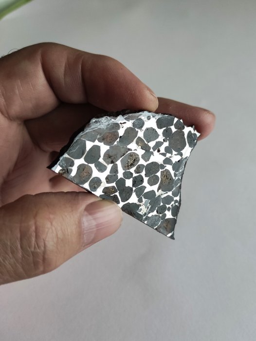 Sericho meteorit pallasit - Højde: 58.9 mm - Bredde: 45.6 mm - 31.5 g - (1)
