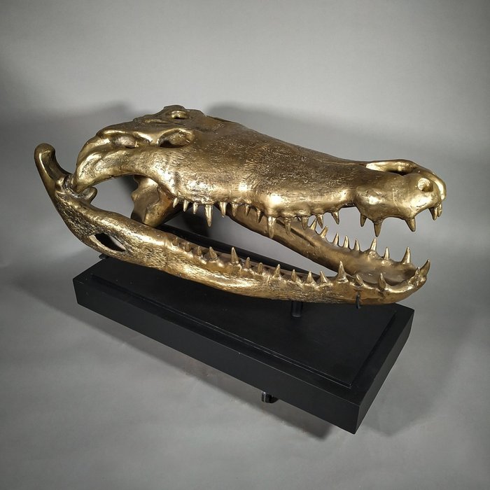 雕塑, CAST - Life-size bronze replica - Crocodylus porosus - 100 cm - 黄铜色 - 2020