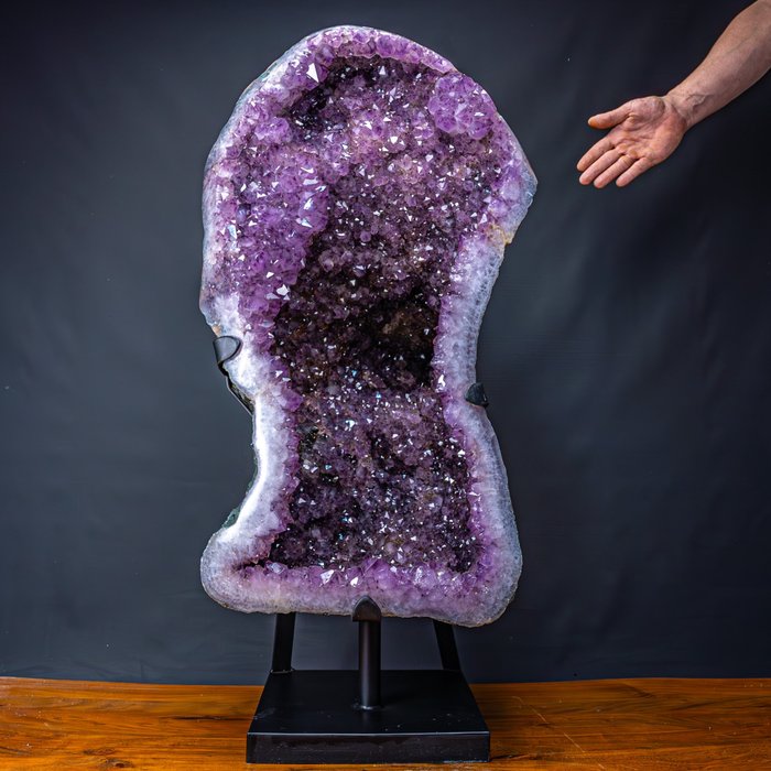 Geodo de Ametista Sólido Único - Qualidade de Museu, Uma maravilha natural revelada- 57339 g