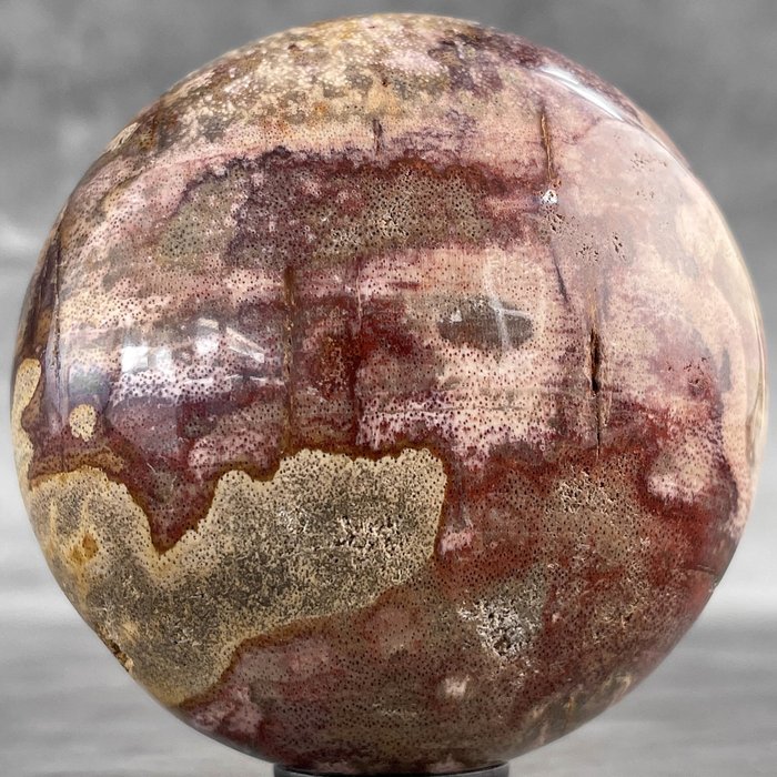 SIN PRECIO DE RESERVA - Hermosa esfera de madera petrificada roja en un soporte personalizado - Madera fosilizada - Petrified Wood