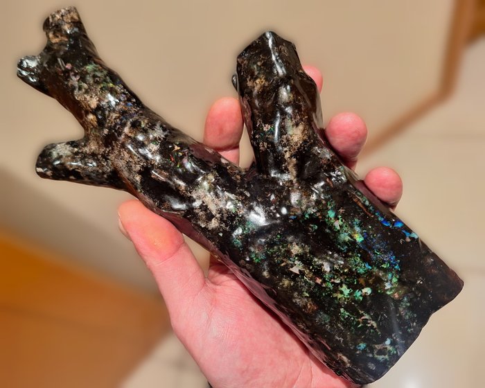 „Riesiges“ MUSEUMSSTÜCK – 3300 ct – Natürlicher schwarzer Opal Holzfossil - Mehrfarbig- 660 g