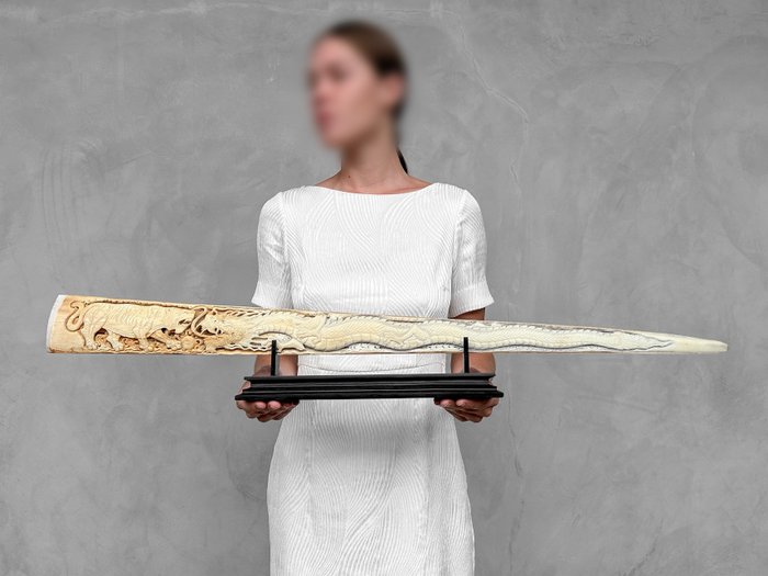 SEM PREÇO DE RESERVA - Espadarte patinado extra grande finamente esculpido em um suporte Rostro - Xiphias Gladius - 14 cm - 90 cm - 2 cm- Espéciesnão-CITES -  (1)