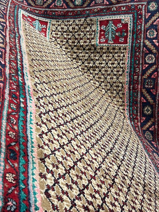 Kolya - Carpete - 270 cm - 155 cm