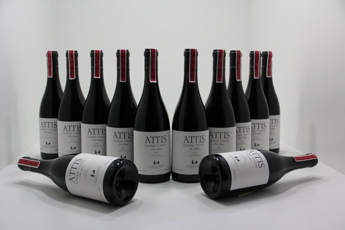 2017 Bodegas Attis, Attis Caiño Tinto - 里亞斯貝克薩 - 12 瓶 (0.75L)