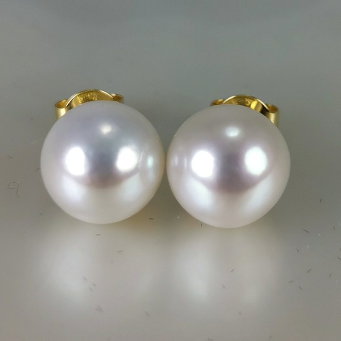 沒有保留價 - Freshwater pearls round earrings Ø 10 MM - 耳環 - 18 克拉 黃金 珍珠 
