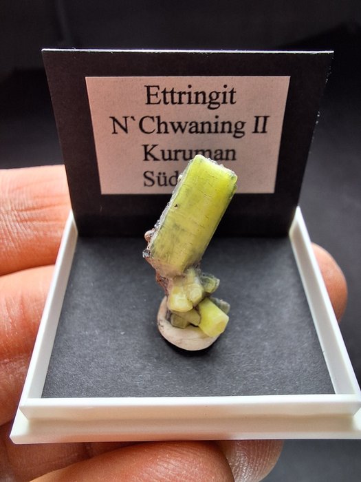 Ettringite 水晶 - 高度: 22 mm - 闊度: 10 mm- 1 g