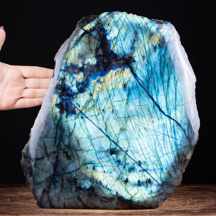 Αποκλειστικό Labradorite Free Form - Κορυφαία Ποιότητα - Fashion Mineral - Ύψος: 325 mm - Πλάτος: 285 mm- 10300 g