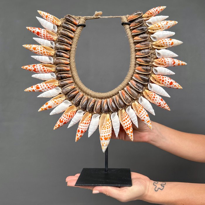 Ornament decorativ (1) - NO RESERVE PRICE - SN11 - Decorative Shell Necklace on a custom stand from Înveliș mare portocaliu ars - Indonezia