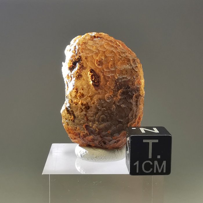哥伦比亚石，一种来自哥伦比亚的稀有伪玻璃陨石 - 高度: 31 mm - 宽度: 19 mm - 14.2 g