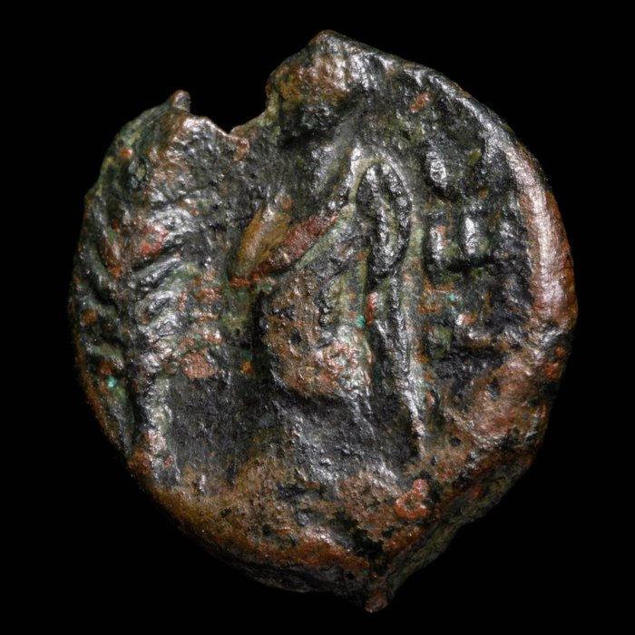 Wywrotki Arécomiques (Nîmes). Bronce Demos siglo I a.C.