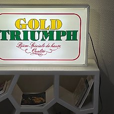 Reclamebord met achtergrondverlichting – Dubbelzijdig lichtbord Gold Triumph – Plastic, Staal