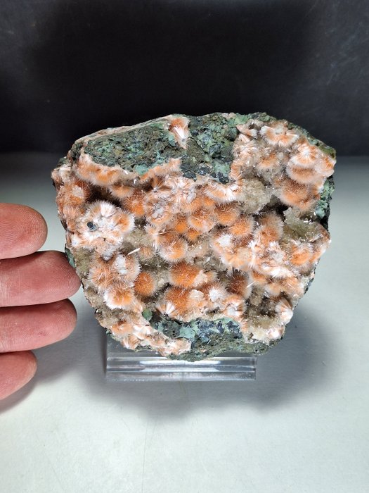 Σπάνιο ΝΕΟ εύρημα: Thomsonite & mesolite Σύμπλεγμα κρυστάλλων - Ύψος: 9 cm - Πλάτος: 9 cm- 451 g