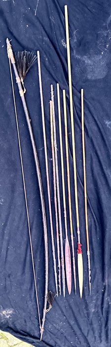 7支箭和一张弓 - 萨尔米 - 西巴布亚（新几内亚）