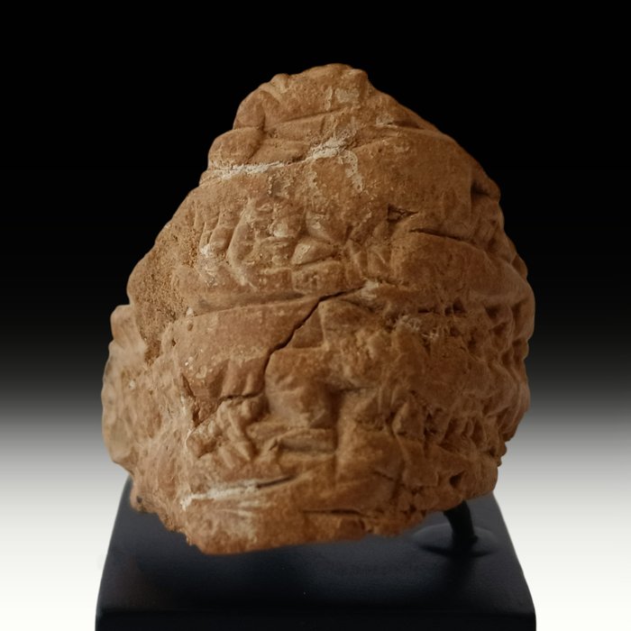 Mesopotamico Antico frammento di tavoletta cuneiforme in argilla babilonese con supporto per presentazione