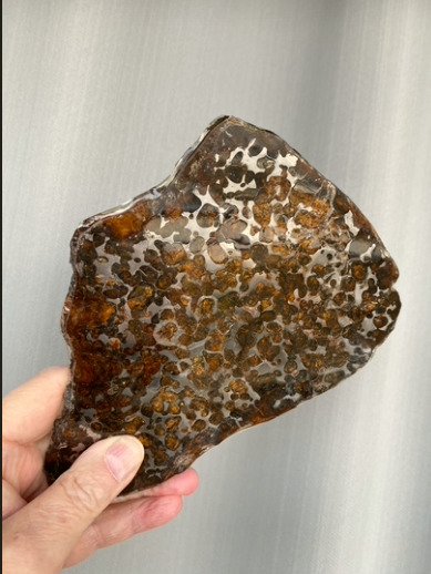 Sericho meteoriet Pallasiet - Hoogte: 19 cm - Breedte: 14 cm - 375 g