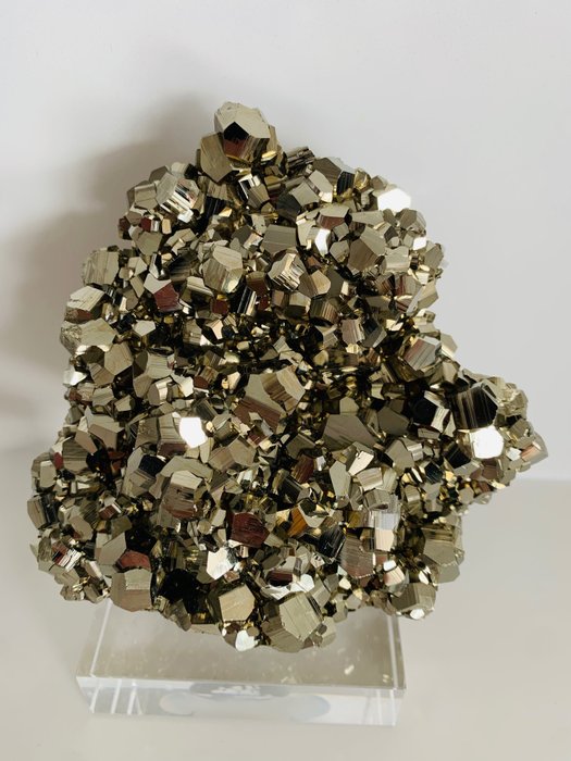 Pyrite 水晶群 - 高度: 11 cm - 闊度: 11 cm- 780 g