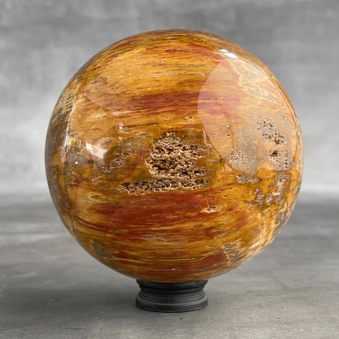 ΧΩΡΙΣ ΑΠΟΘΕΜΑΤΙΚΗ ΤΙΜΗ - Υπέροχη σφαίρα απολιθωμένου ξύλου σε προσαρμοσμένη βάση - Απολιθωμένο ξύλο - Petrified wood