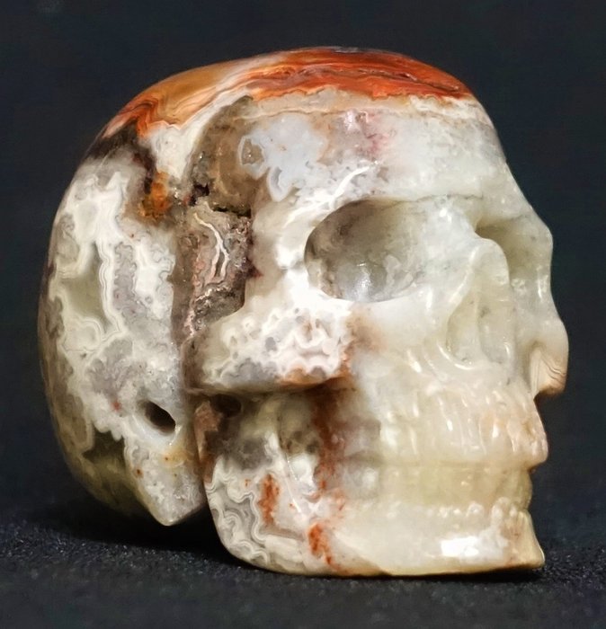 超现实头骨抛光 玛瑙“疯狂蕾丝” - 高度: 48 mm - 宽度: 37 mm- 88 g - (1)