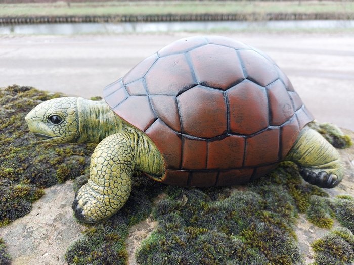 Estátua, lifelike turtle - 14 cm - poliresina