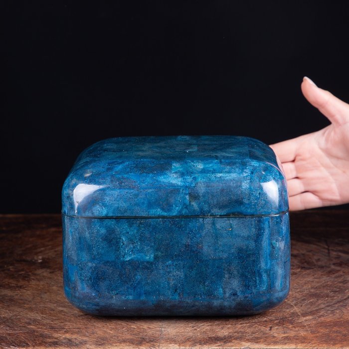 Jewellery box - Exclusive Jewelry Box - Natural Blue Coral - Luxury Item - Heliopora Coerulea