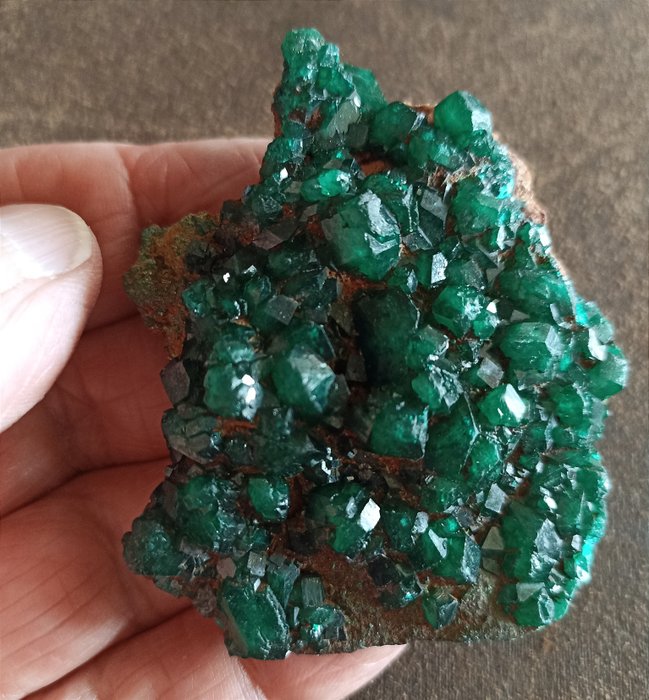 Prachtige DIOPTASE, glanzende kristallen, smaragdgroen, 287,50 karaat - Hoogte: 70 mm - Breedte: 62 mm- 57.5 g - (1)