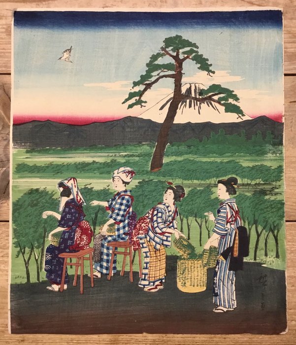 Thee plukken met de besneeuwde berg Fuji op de achtergrond - Utagawa Hiroshige III (1842-1894) - Japón -  Periodo Meiji (1868 -1912)
