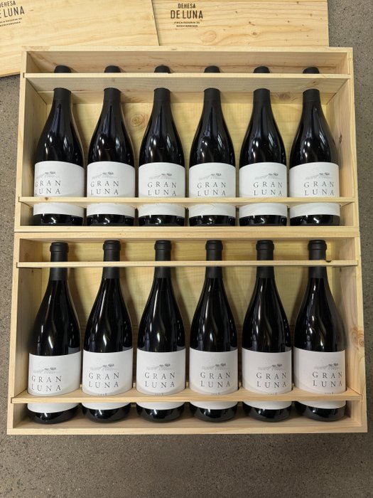 2018 Dehesa de Luna, Gran Luna - Albacete - 12 Bottles (0.75L)